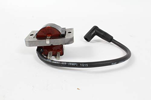 IGNITION MODULE