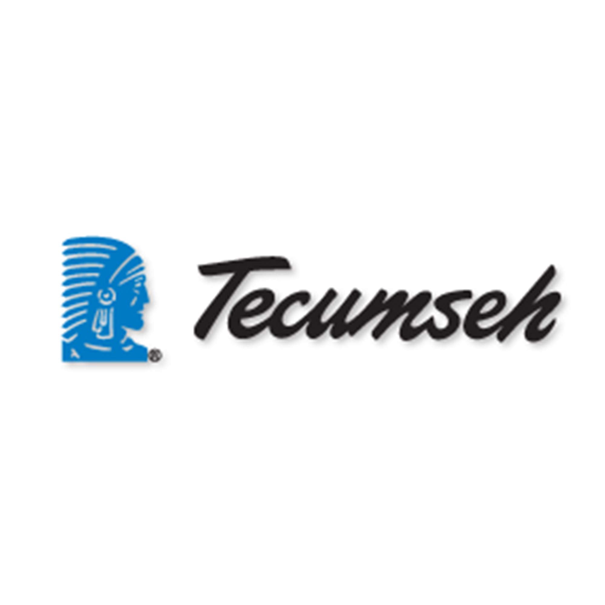 Genuine OEM Tecumseh Parts - Screw 30200