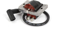 IGNITION MODULE