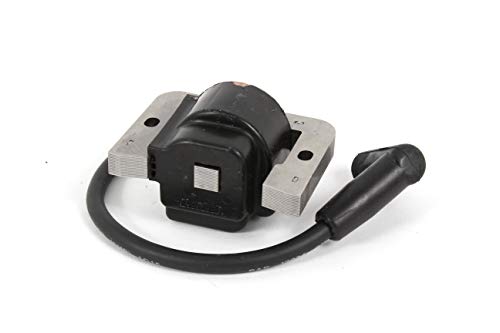 IGNITION MODULE