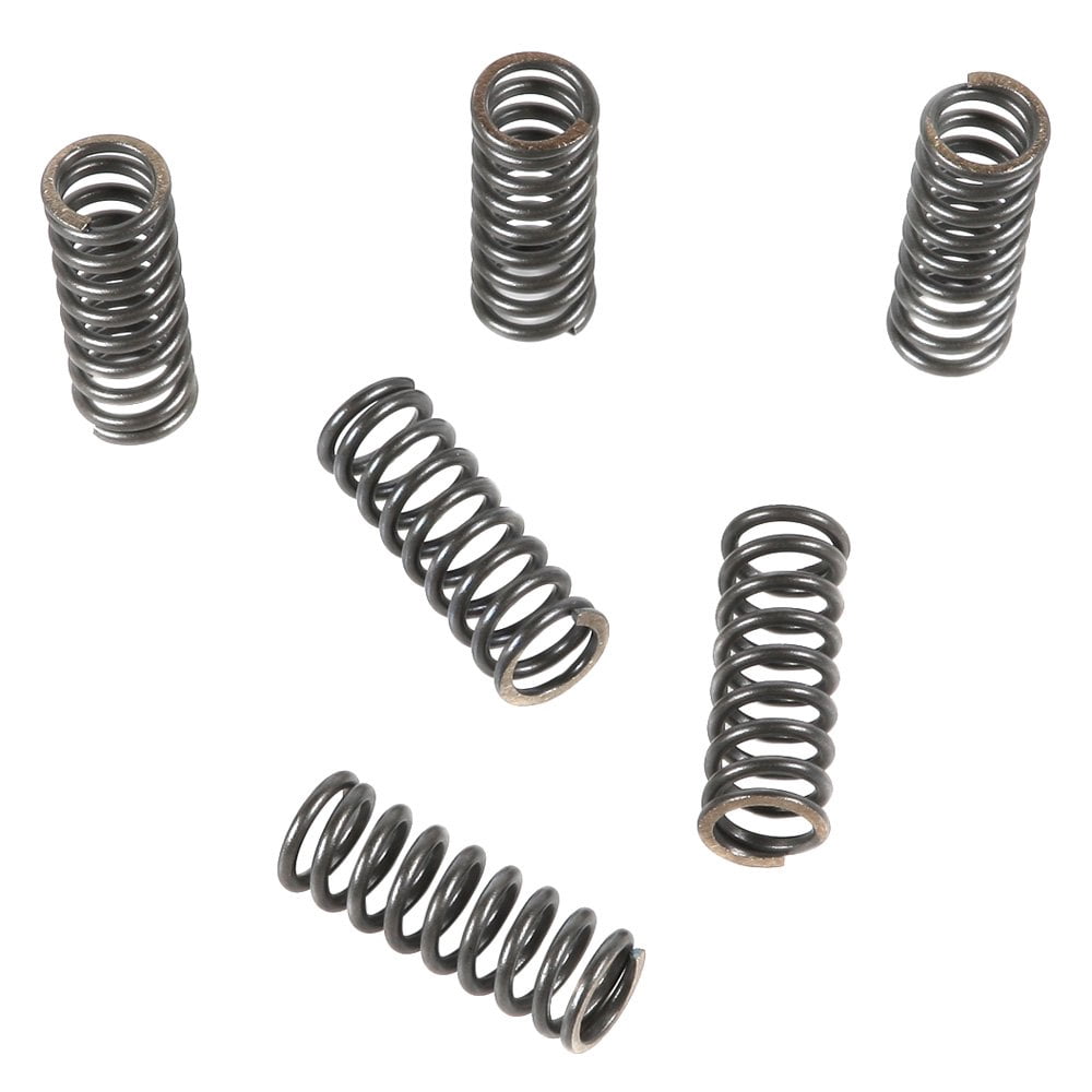 EBC Brakes CSK45 Coil Type Clutch Spring, Black, One Size